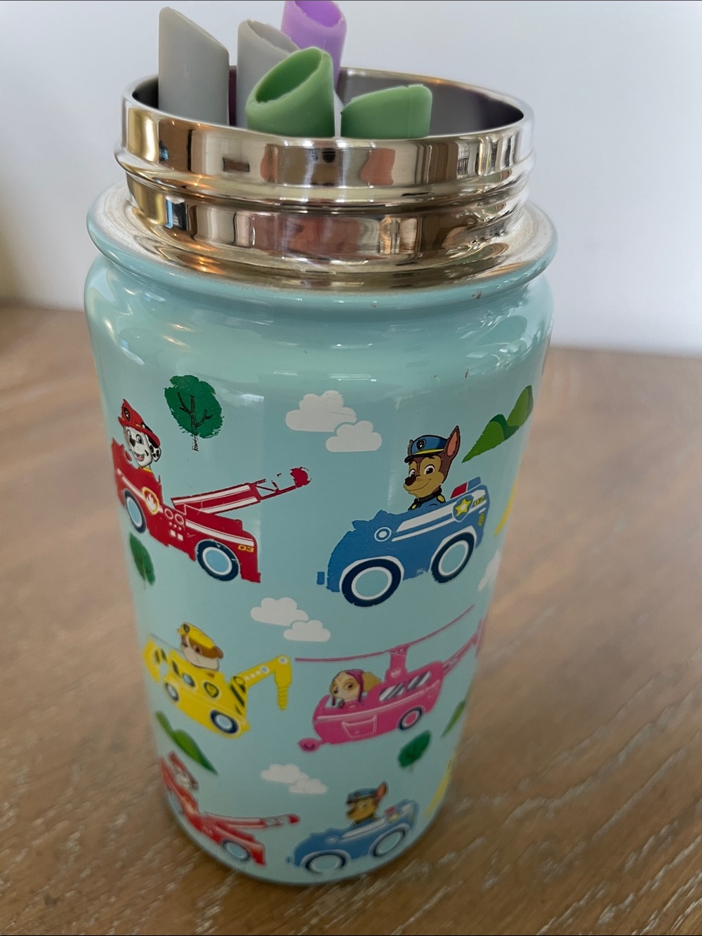 Paw Patrol Kids Stainless Steel Drink Bottle – *missing lid/straw